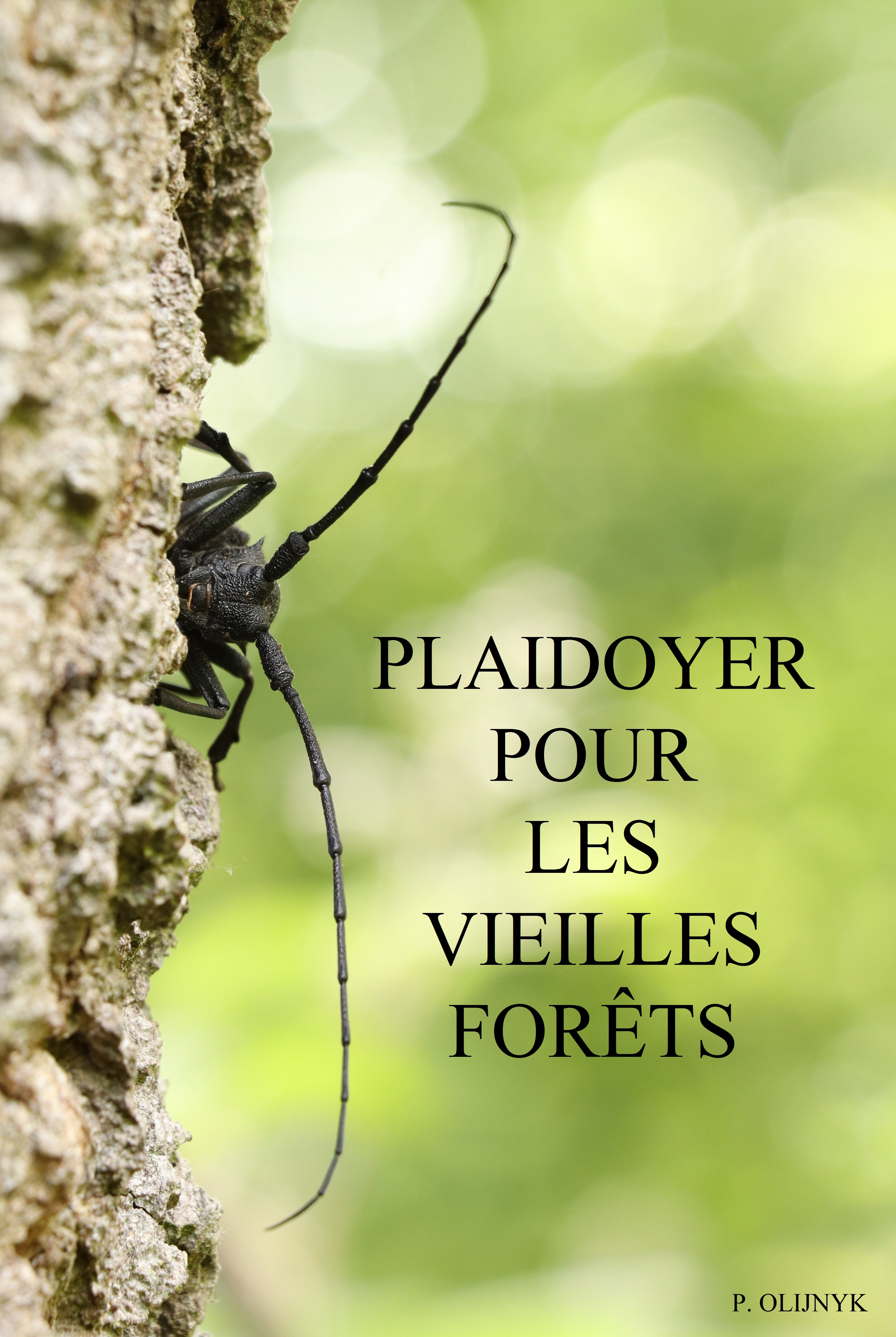 Plaidoyer pour les vieilles forêts P. Olijnyk