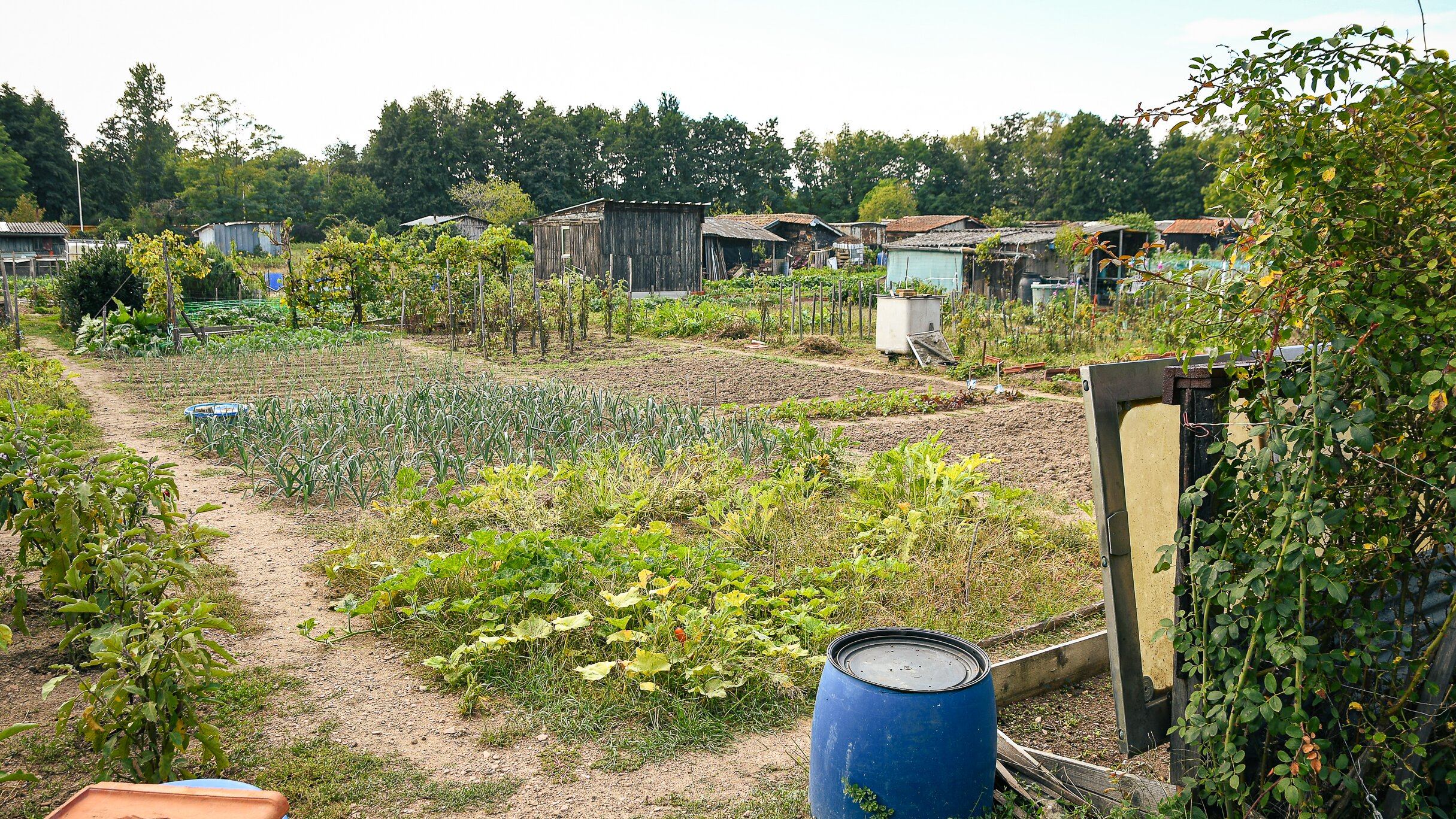 La municipalité soutient le Jardin du Pré des Sœurs face à la pénurie d'eau